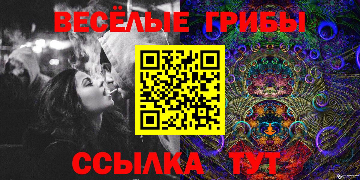 Псилоцибиновые грибы прущие грибы Карпинск