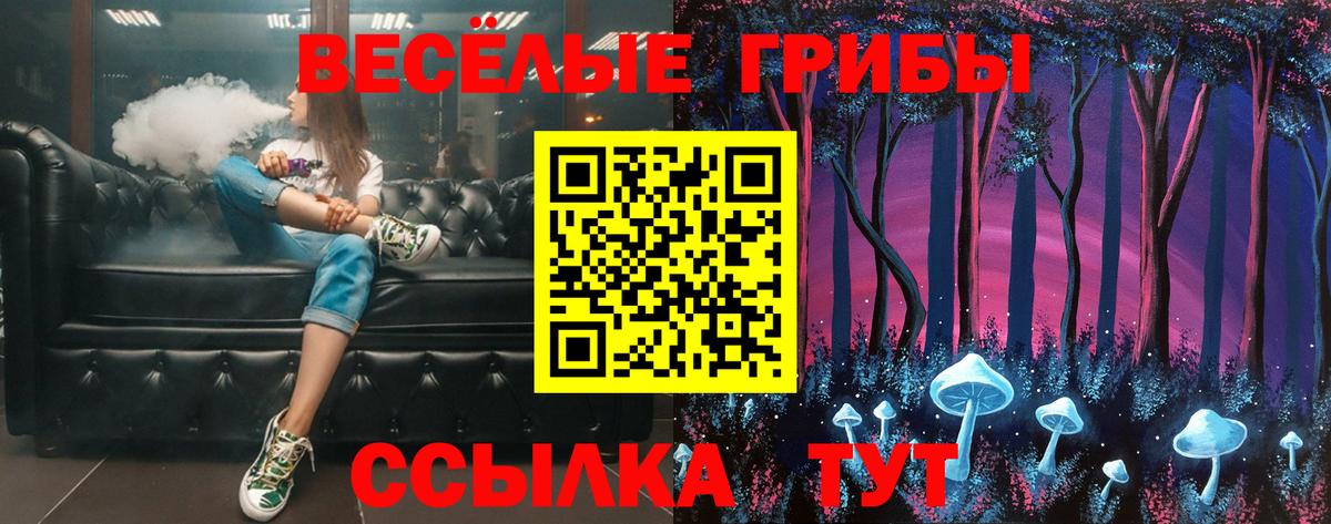 наркошоп  Вход с VPN  Карпинск  Псилоцибиновые грибы мухоморы 